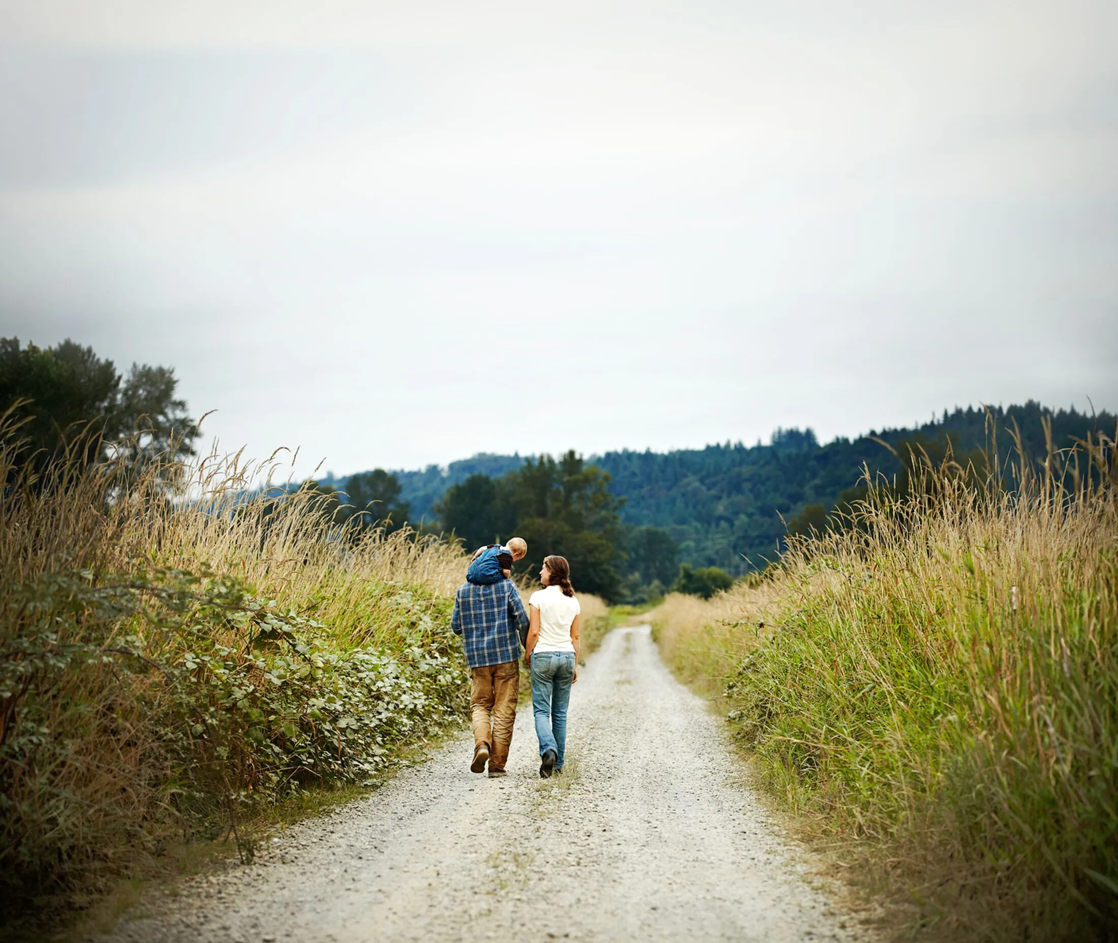 A family walking hand in hand along a gravel path through tall grass.