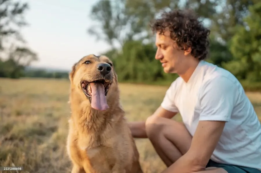 A man kneeling in a field with his golden retriever.